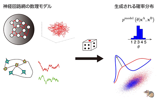 カオス的な神経活動を利用して確率的推論を行う神経回路の数理モデルの図