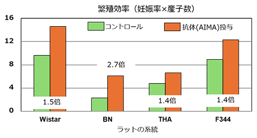 ラット各系統の繁殖効率の比較の図