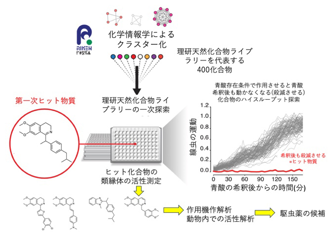 理研天然化合物ライブラリーからの駆虫薬候補の発見の図