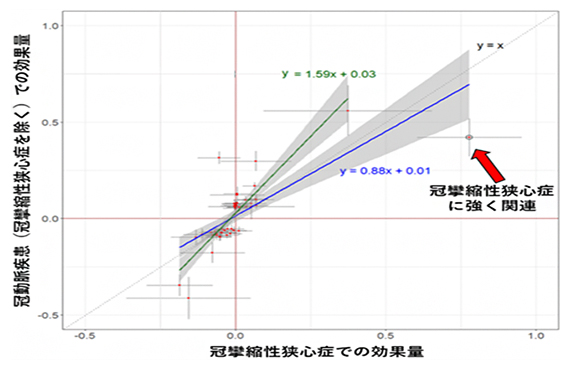 冠攣縮性狭心症とそれ以外の冠動脈疾患の疾患GWASでの効果量(影響の強さ)の比較の図