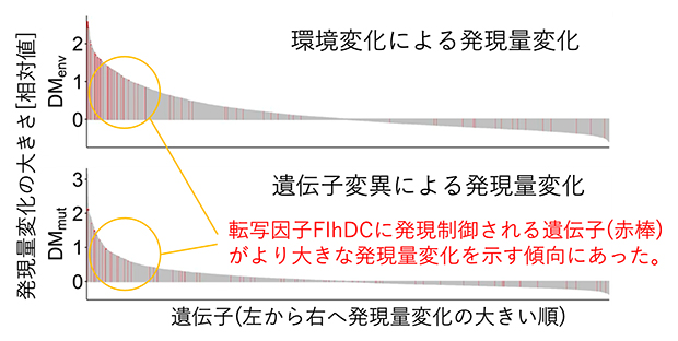 発現量変化の大きな遺伝子を制御する転写因子(TRcom)の図
