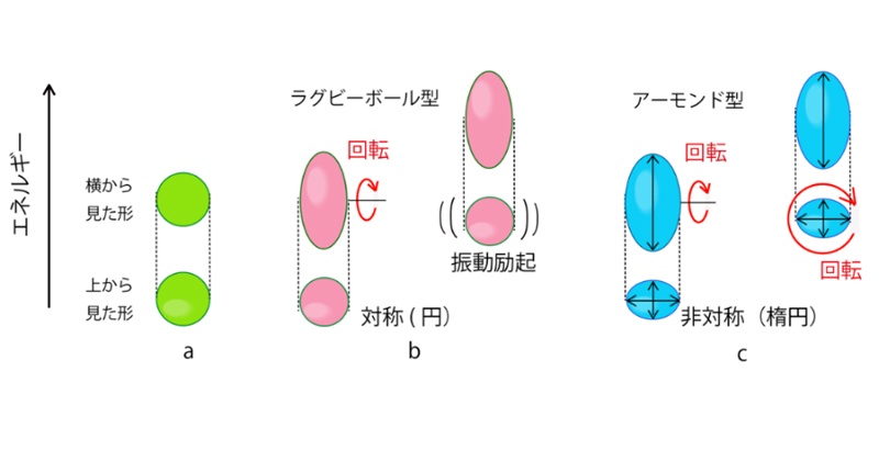原子核構造論 原子核構造論 (朝倉物理学体系 18) | 高田 健次郎, 池田 清美