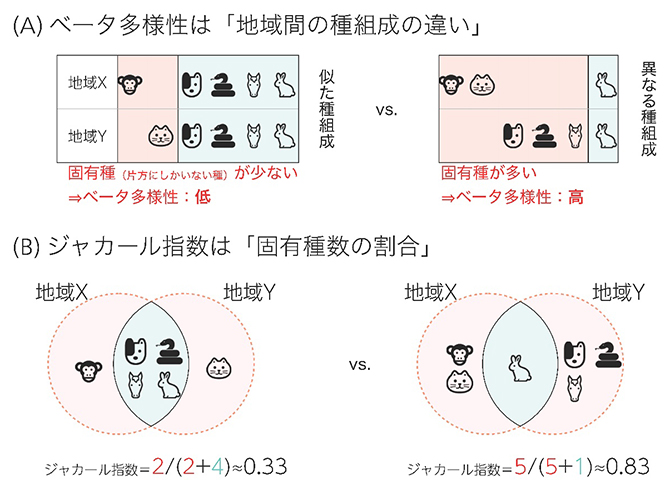 空間的生物多様性(ベータ多様性)の概要の図
