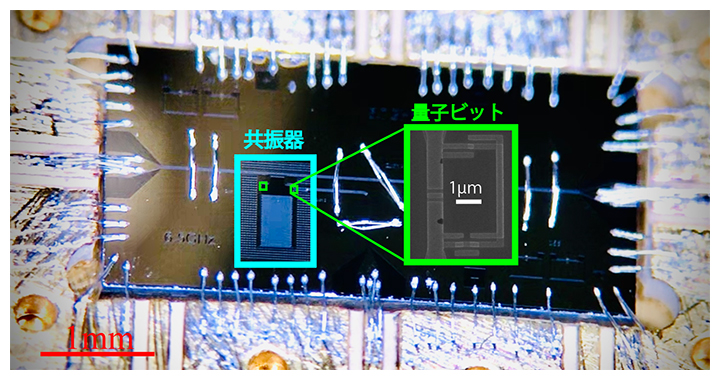 1光子で2原子を同時励起する現象を観測～超伝導量子回路が見せる新しい量子力学現象～