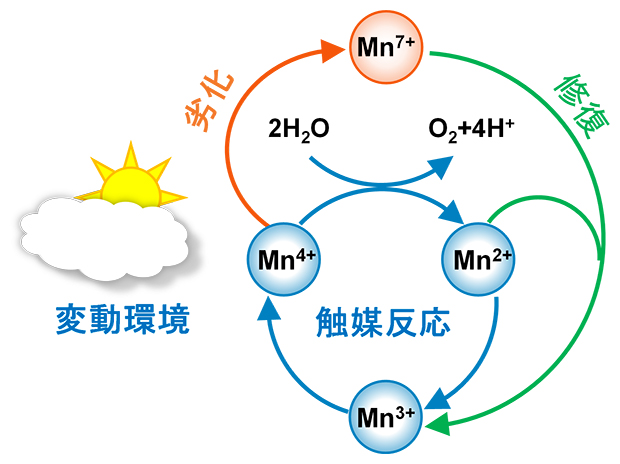 自己修復経路を導入した水電解触媒の図
