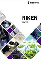 広報誌 RIKEN 2018