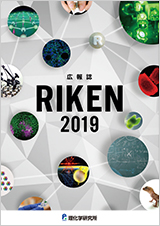 広報誌 RIKEN 2019