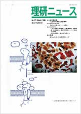 理研ニュース1996年3月号