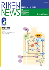 理研ニュース2003年7月号別冊