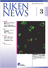 理研ニュース2004年3月号