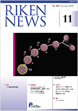 理研ニュース2004年11月号