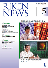 理研ニュース2005年5月号