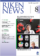 理研ニュース2005年8月号