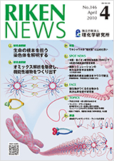 理研ニュース2010年4月号