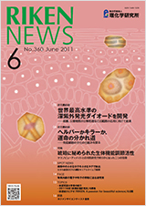 理研ニュース2011年6月号