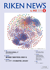 理研ニュース2018年4月号