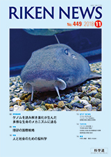 理研ニュース2018年11月号