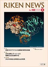 理研ニュース2020年6月号