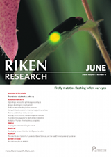 RIKEN Research Volume 1 Issue 6