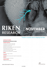 RIKEN Research Volume 1 Issue 11