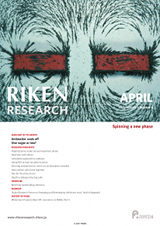 RIKEN Research Volume 2 Issue 4