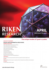 RIKEN Research Volume 3 Issue 4