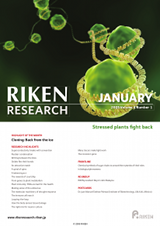 RIKEN Research Volume 4 Issue 1