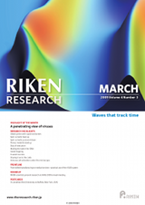 RIKEN Research Volume 4 Issue 3