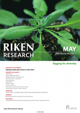 RIKEN Research Volume 4 Issue 5