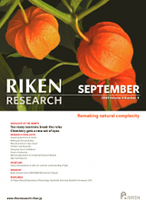 RIKEN Research Volume 4 Issue 9
