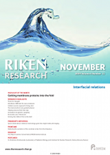 RIKEN Research Volume 4 Issue 11
