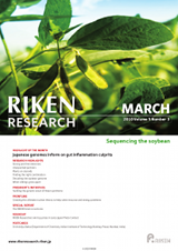 RIKEN Research Volume 5 Issue 3