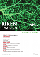 RIKEN Research Volume 5 Issue 4