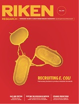 RIKEN Research Fall 2018