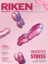 RIKEN Research Summer 2019