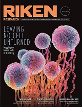 RIKEN Research Winter 2019