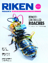 RIKEN Research Winter 2022