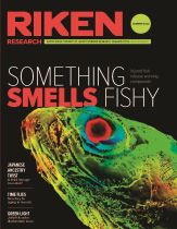 RIKEN Research Summer 2024
