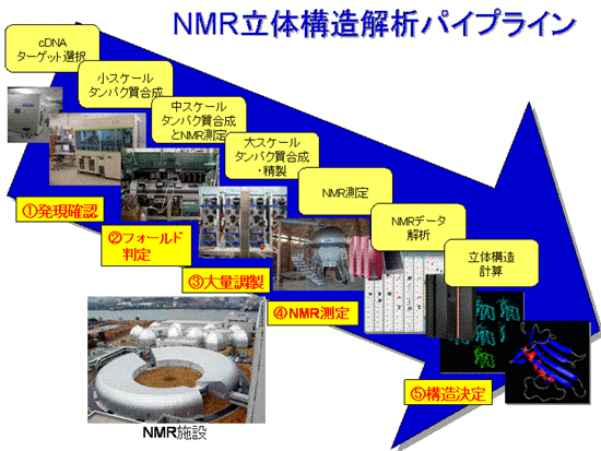 NMR立体構造解析パイプラインの図