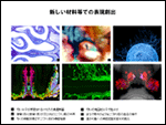 新しい材料での表現創出の図