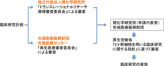 臨床研究実施までの主な流れの説明図