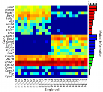 Heatmap obtained in the single-cell Quartz-Seq