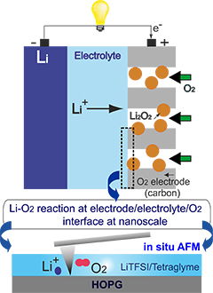 Schematic diagram showing the lithium-oxygen electrochemical reaction