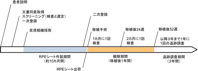 臨床スケジュールの説明図