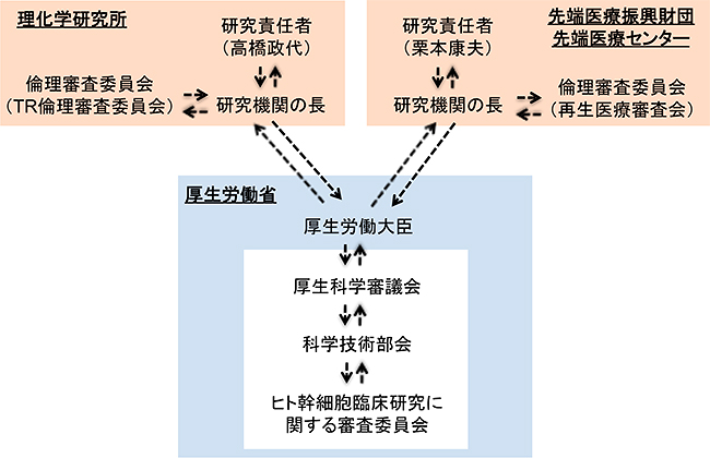 実施決定までの審査の流れの説明図