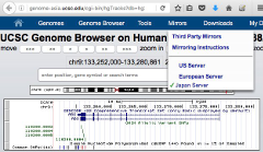 Screenshot of the database