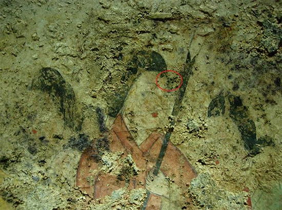 国宝高松塚古墳壁画（西壁女子群像）の写真