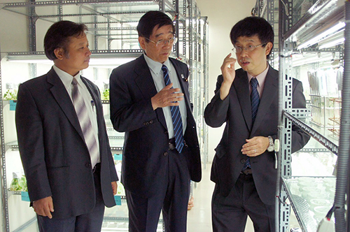 関原明チームリーダーが、冨岡勉文部科学副大臣に研究の説明をしている写真