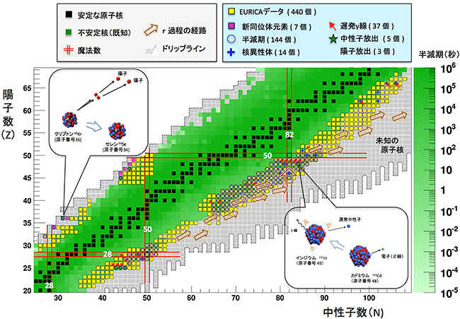 EURICAでデータ収集した不安定核と半減期を測定した原子核の図