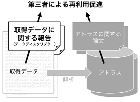 アトラスに関する論文と、そのもととなった取得データに関する報告の関係の図